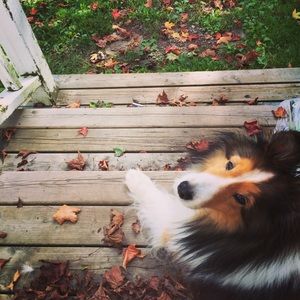 Meet your Posher, Katie